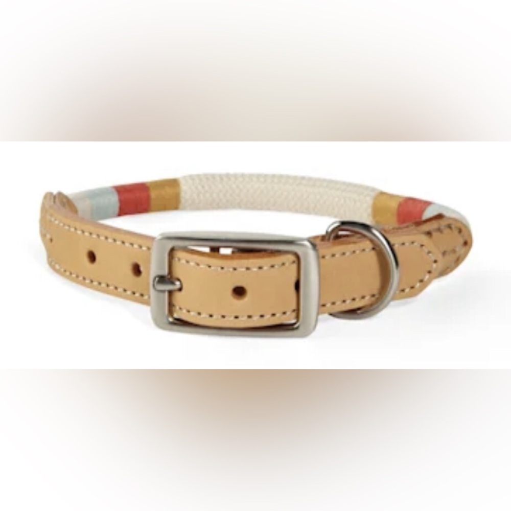 Youly Colorful Leather Dog Collar (The Wanderer)
